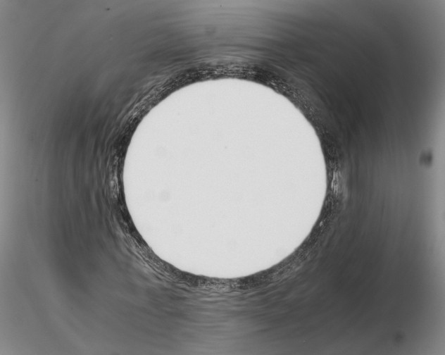 X0000115000771200912071139