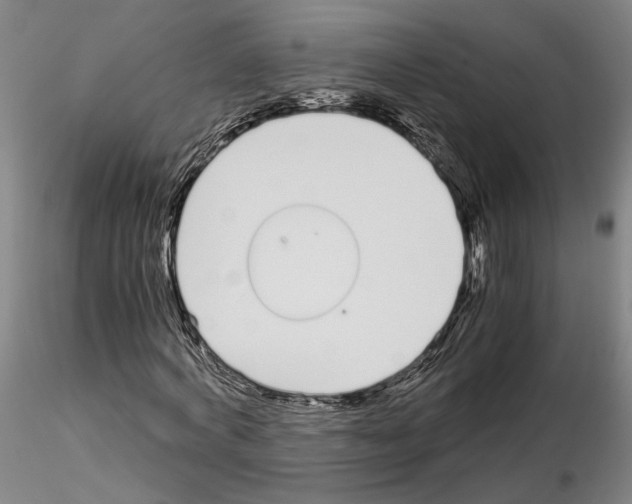 X0000115000772200912071139