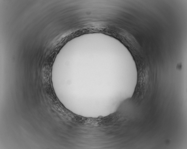 X0000115000773200912071139