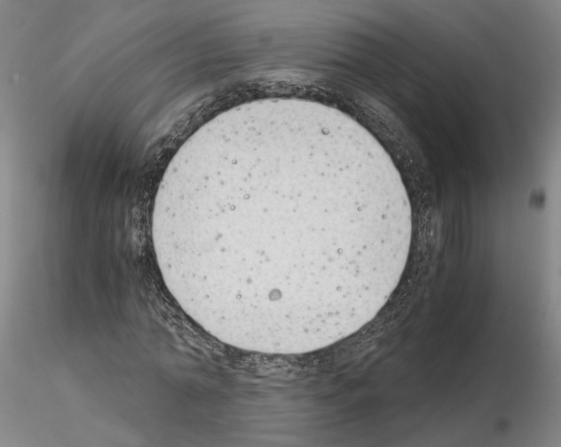 X0000115000774200912071139