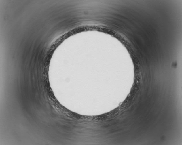 X0000115000775200912071139