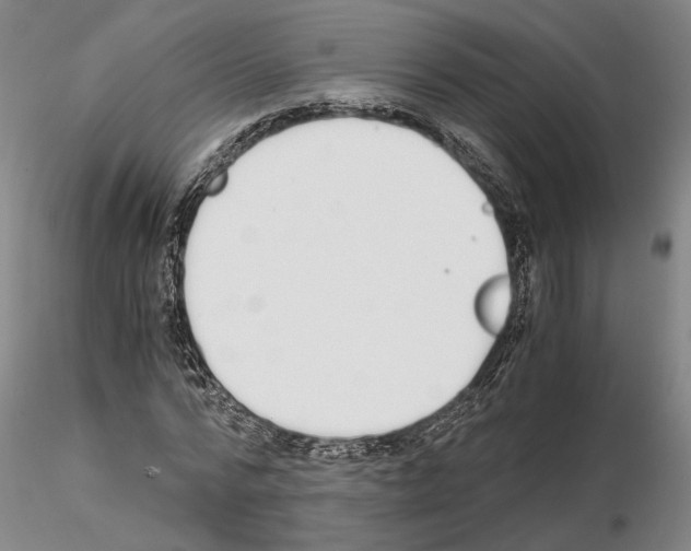 X0000115000776200912071139