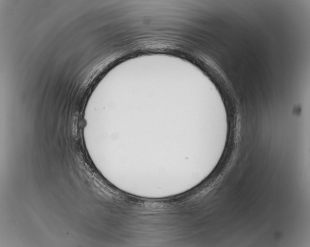 X0000115000777200912071139