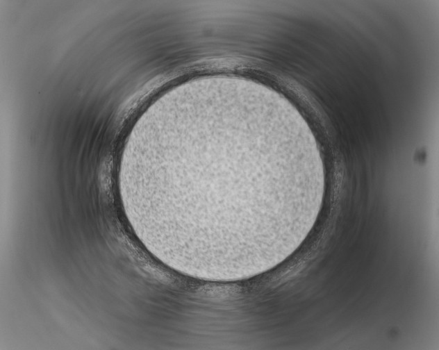 X0000115000778200912071139