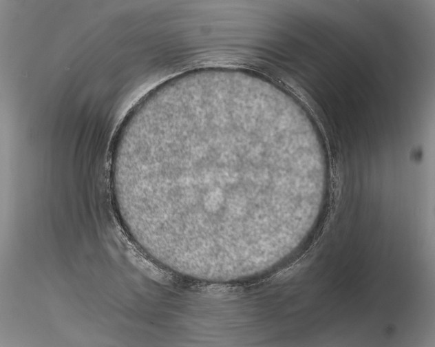 X0000115000779200912071139