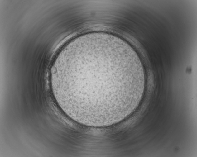 X0000115000782200912071139