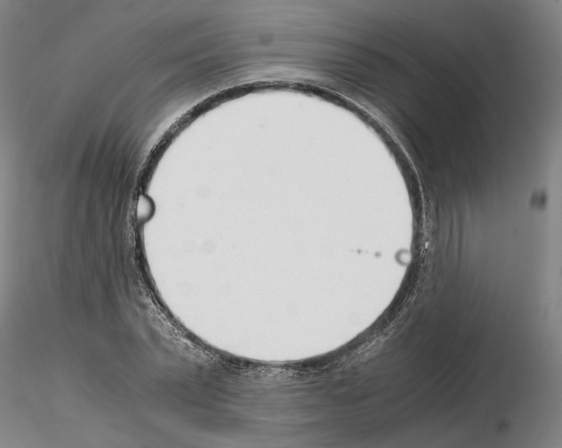 X0000115000783200912071139