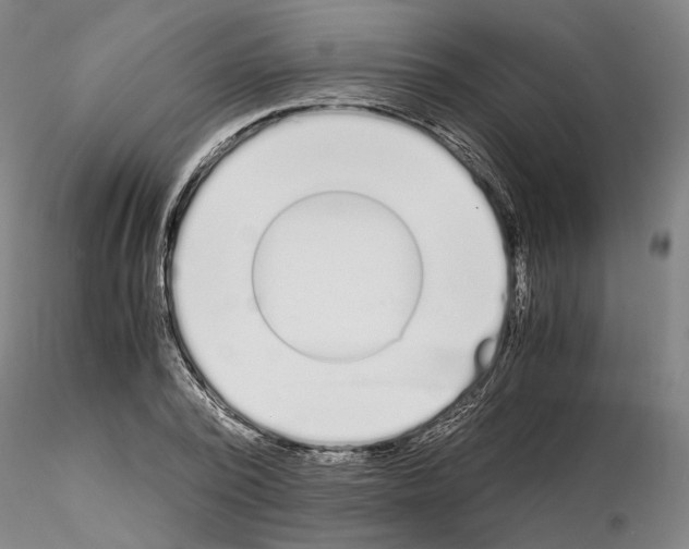 X0000115000784200912071139