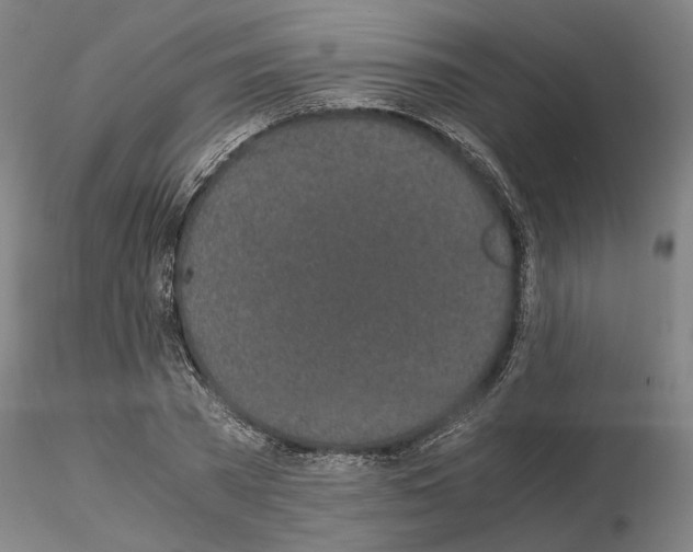 X0000115000785200912071138