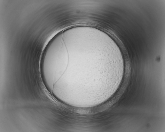 X0000115000788200912071138