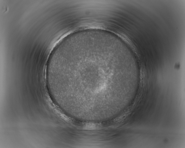 X0000115000790200912071138