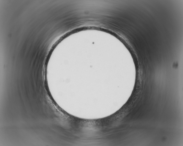 X0000115000791200912071138