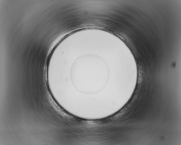 X0000115000796200912071138