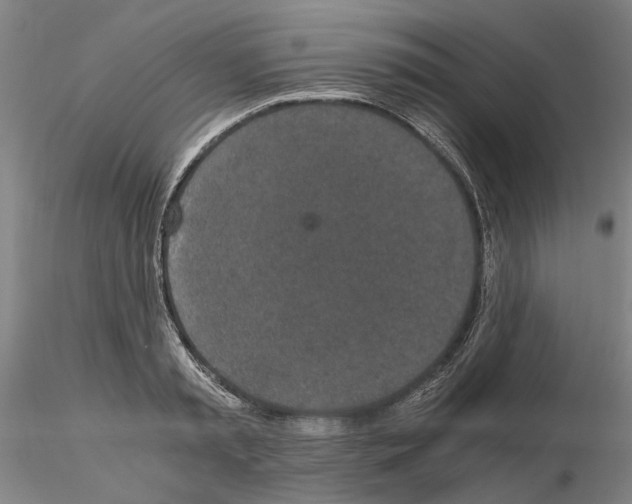 X0000115000797200912071138