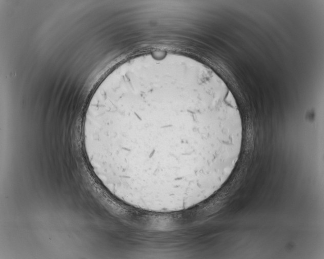 X0000115000798200912071138