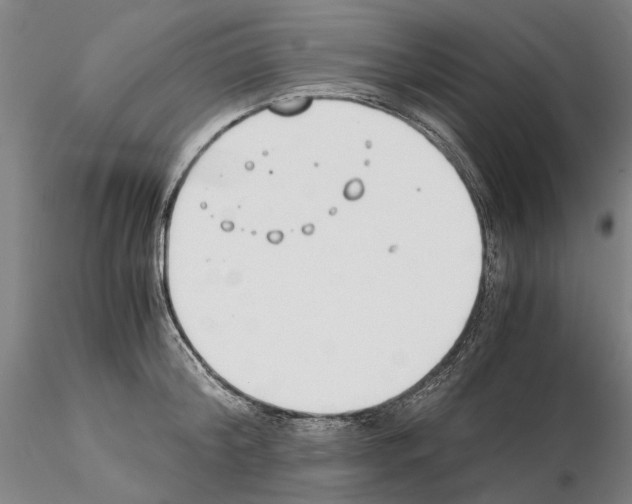 X0000115000804200912071138