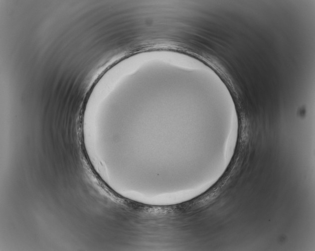 X0000115000806200912071138