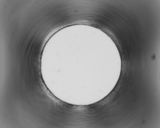 X0000115000808200912071138