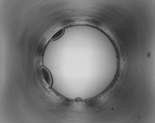 X0000115000809200912071138