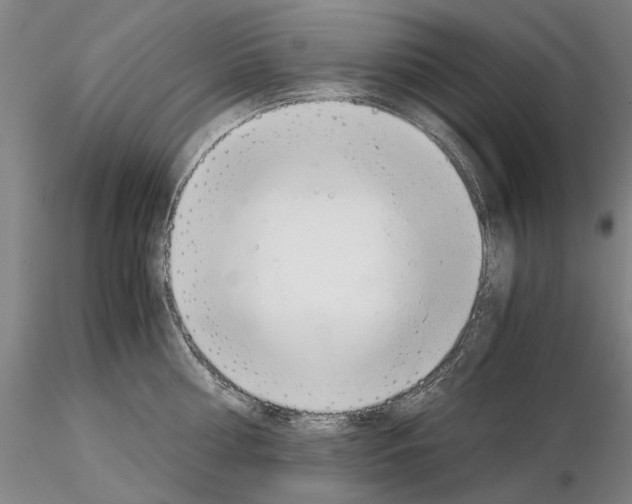 X0000115000810200912071138