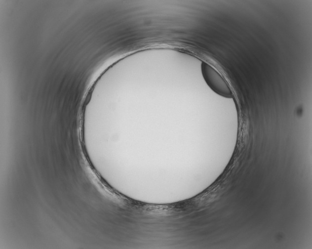 X0000115000811200912071138