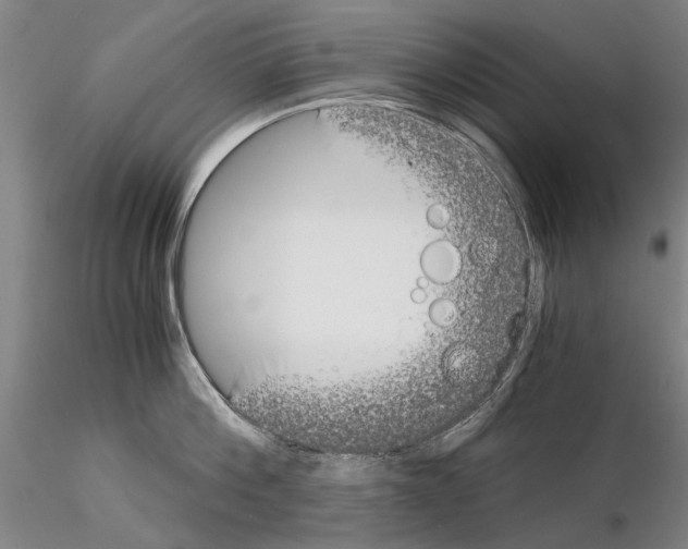 X0000115000812200912071138