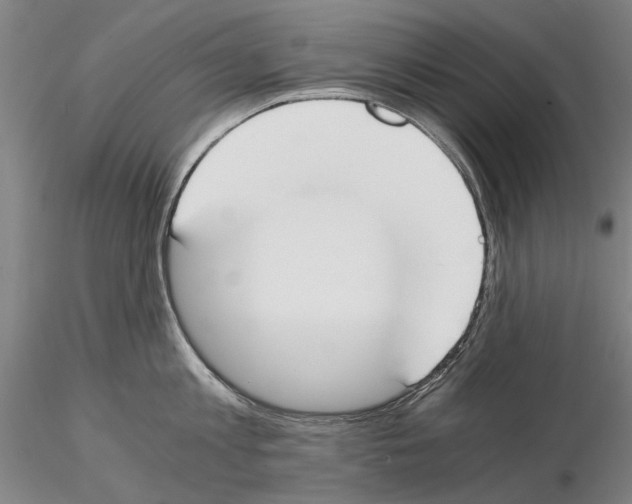 X0000115000813200912071138