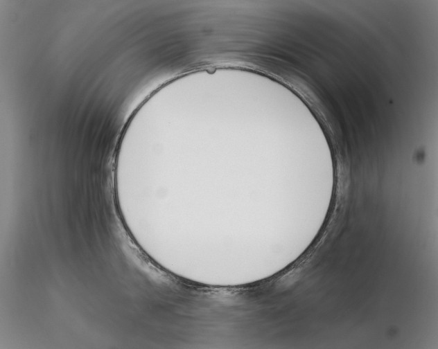 X0000115000814200912071138