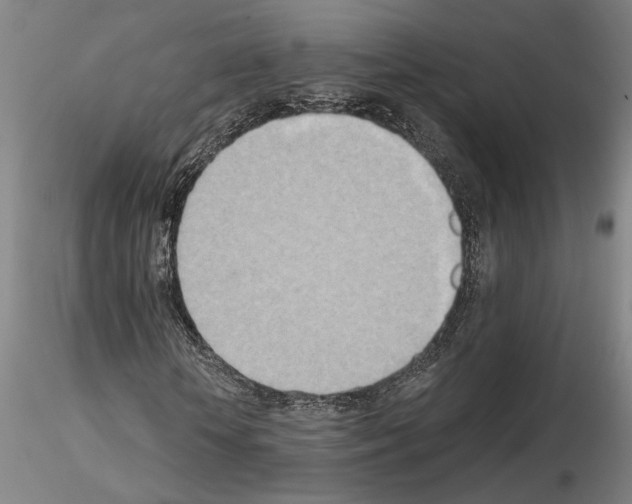 X0000115000818200912071137