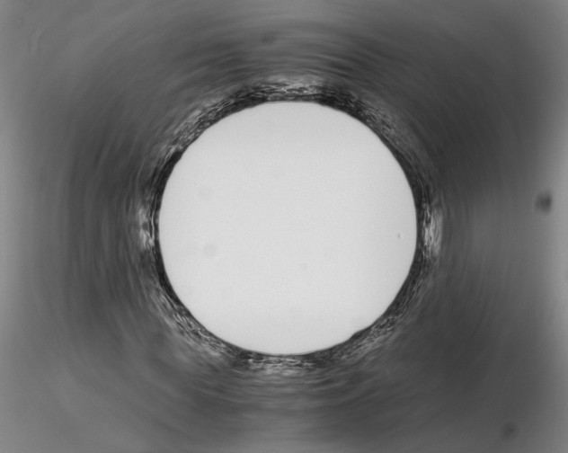 X0000115000819200912071137