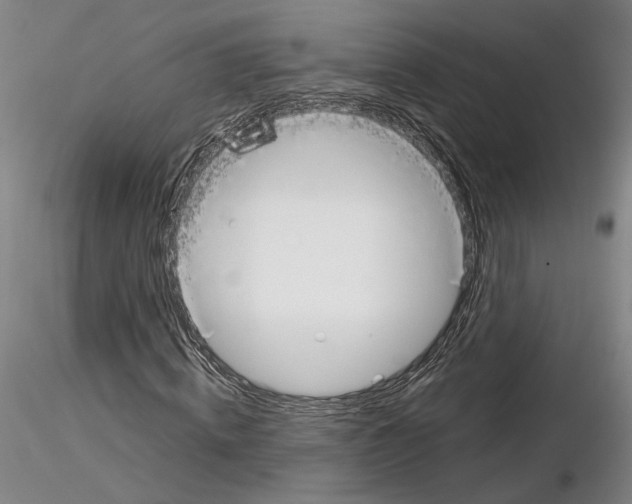 X0000115000820200912071137