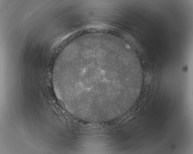 X0000115000822200912071137