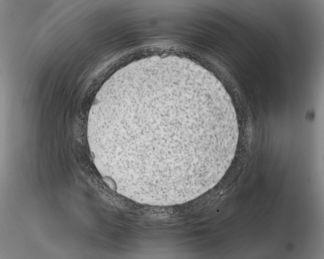 X0000115000823200912071137