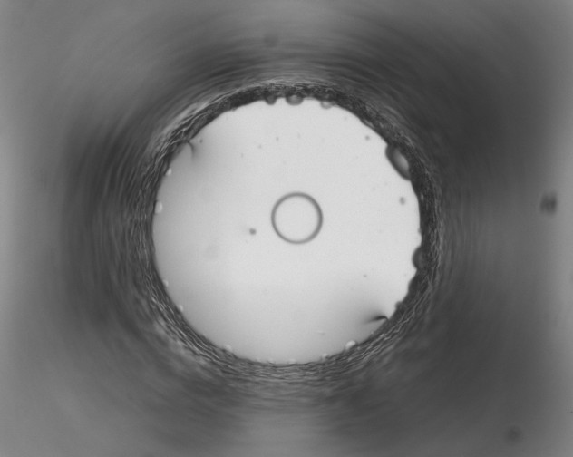 X0000115000824200912071137