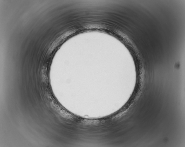 X0000115000825200912071137