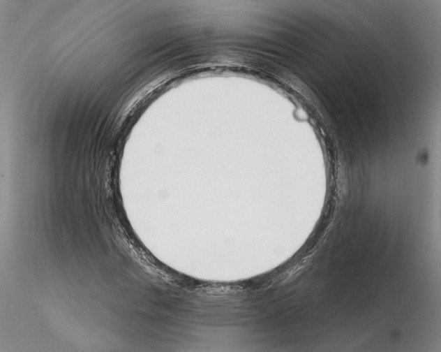 X0000115000826200912071137