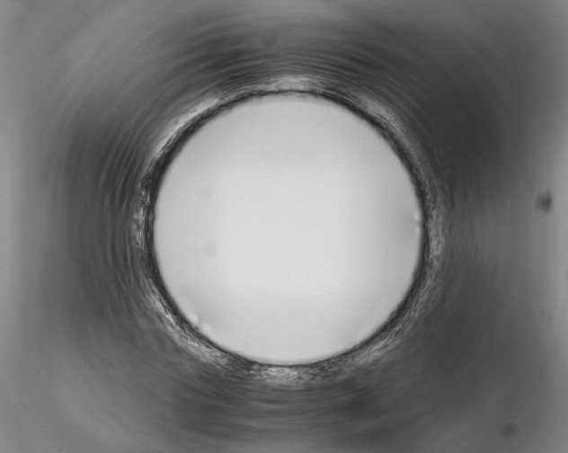 X0000115000827200912071137