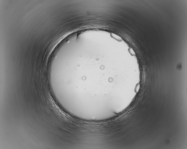 X0000115000828200912071137