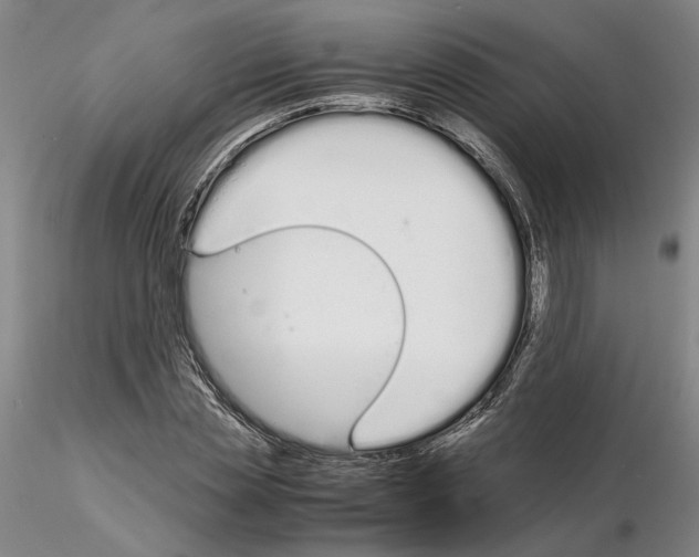 X0000115000829200912071137