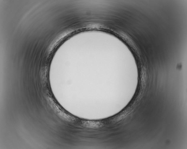 X0000115000831200912071137