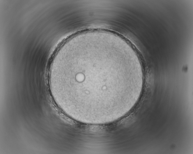 X0000115000832200912071137