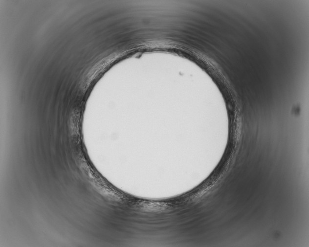 X0000115000833200912071137