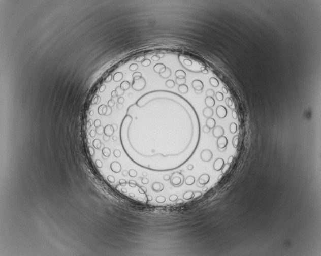 X0000115000834200912071137