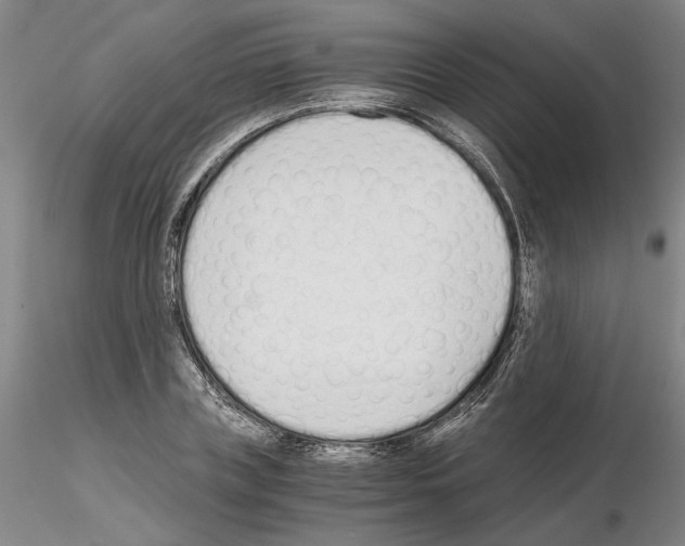 X0000115000835200912071137