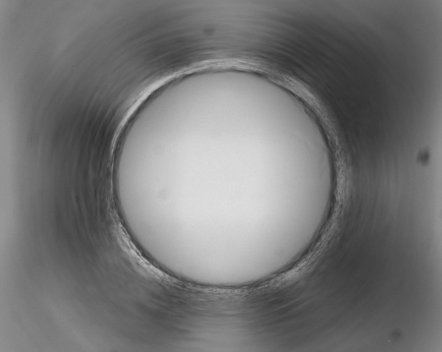 X0000115000836200912071137