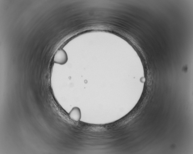 X0000115000837200912071138