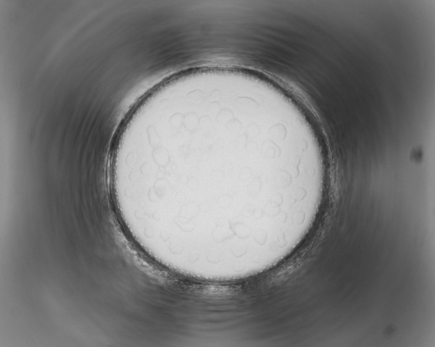 X0000115000839200912071138