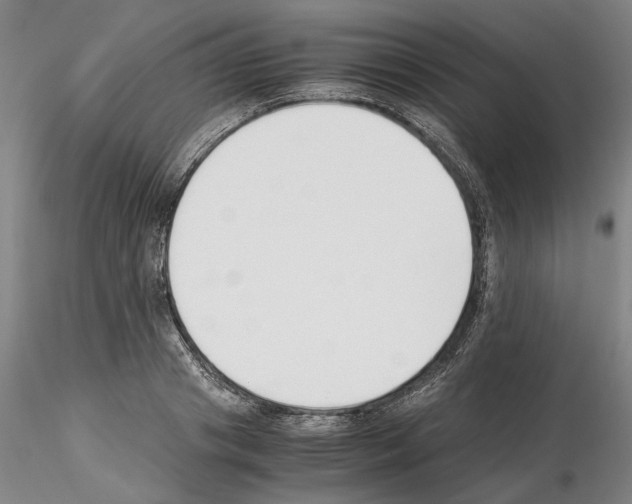 X0000115000841200912071138