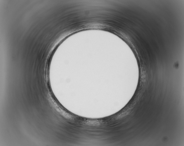 X0000115000843200912071138