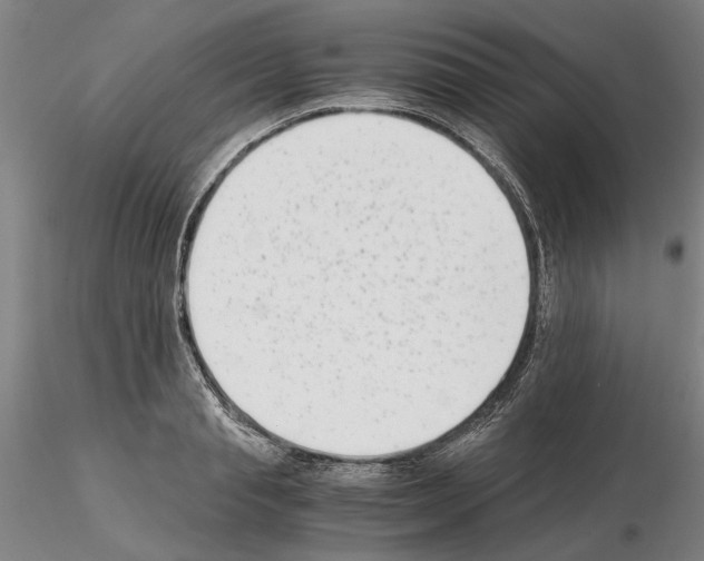 X0000115000845200912071138